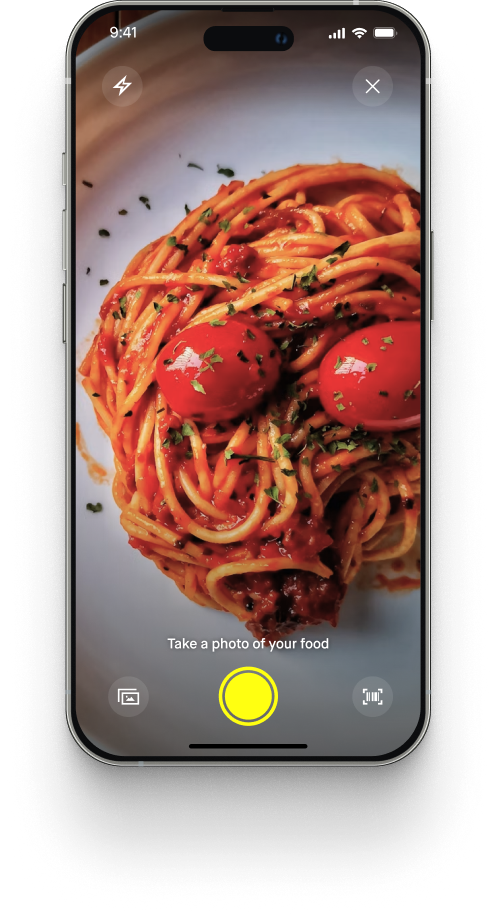January app camera screen scanning a plate of food